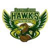 football logo